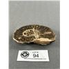 Image 2 : 4.2" Ammonite Fossil. Retails $500.00