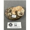 Image 3 : 4.2" Ammonite Fossil. Retails $500.00