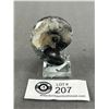 Image 1 : Orthoceras Goniatite Ammonite Fossil. Retails $400.00