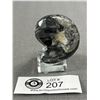 Image 2 : Orthoceras Goniatite Ammonite Fossil. Retails $400.00