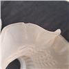 Image 2 : 5 Vintage Frosted Glass Light Shades