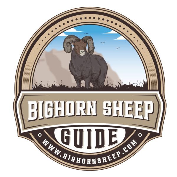 BighornSheep.guide