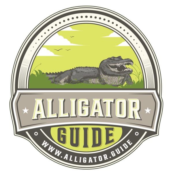 Alligator.guide