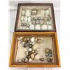 Image 1 : Egg Collection