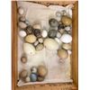 Image 2 : Egg Collection