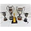 Image 1 : Vegreville Trophies