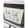 Image 8 : Framed Political Cartoons