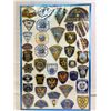 Image 1 : American Enforcement Patches