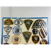 Image 2 : American Enforcement Patches