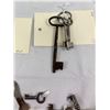 Image 3 : Assortment of Skeleton Keys