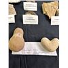 Image 2 : Fossils