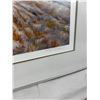 Image 2 : "Foothills Exploration" Print