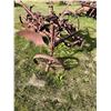 Image 1 : Vintage Bottom Plow