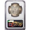 Image 2 : 1881 $1 Morgan Silver Dollar Coin NGC MS63 Nice Toning