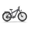 Image 1 : Himiway D5 Plus Rhino Dual Battery OffRoad E-Bike