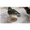 Image 8 : 20 Bird Figurines lot in showcase 14x20