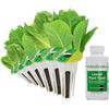 Image 1 : NEW AERO GARDEN SEED POD KIT MIXED ROMAINE