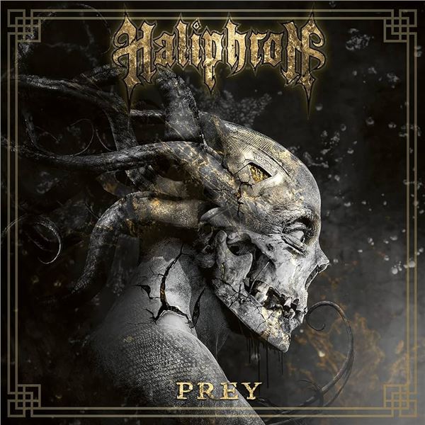 CD-HALIPHRON PREY