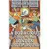 Image 1 : PAPERBACK-A BODACIOUS GUIDE TO THE LONDON UNDERGRO