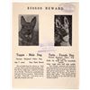 Image 1 : Police Dogs Lost/ Reward Broadside, 1926 [188326]