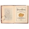 Image 2 : Undergound Treasures by Orton, 1903 [189312]