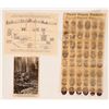 Image 1 : Postcards - Mining Poland, c1914 (3) [188461]