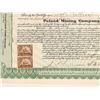 Image 2 : Poland Mining Company Stock, 1902 [187992]