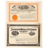 Image 1 : Arizona Mining Stock Pair 1907 [188133]