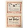 Image 1 : Copper Queen Mining and Smelting Stock Pair [188667]