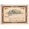 Image 1 : Manhattan Nevada Gold Mines Stock, 1906, Rare [188123]