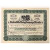 Image 1 : Broken Hills Mining Company of Nevada Stock, 1910, Very Rare [187988]