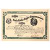 Image 1 : Santa Emilia Copper Stock, 1907 [188141]