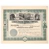 Image 1 : Consolidated Mining Company Stock, 1909 [188132]
