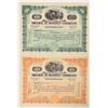 Image 1 : Mojave Tungsten Stock Pair, 1916 [187996]