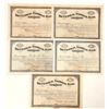 Image 1 : Bank Stocks Central National Ohio c1892-98 [187631]