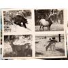 Image 7 : US Postcard and Photo Grab Bag [189293]