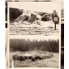 Image 8 : US Postcard and Photo Grab Bag [189293]
