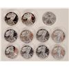 Image 1 : American Eagle Silver Dollars (11) [189614]