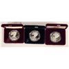 Image 1 : American Eagle Silver Dollars-Proof  (3) [189599]