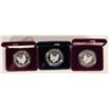 Image 2 : American Eagle Silver Dollars-Proof  (3) [189599]