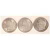 Image 1 : Morgan Dollars EF-AU (3) [189615]