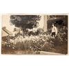Image 3 : Harrison Co.; Scio etc.; Street Scenes 12 Postcards [187661]