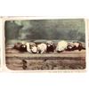 Image 2 : Huron Co.; New London; Buildings Postcards (15) [187699]
