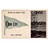 Image 1 : Van Wert Co.; Ohio County; Pennant [188305]