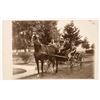 Image 3 : Williams Co.; Bryan etc; Various Postcards 5 [188308]