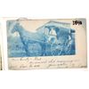 Image 3 : Portage Co.; Randolph, Etc.; Various Postcards (13) [187976]