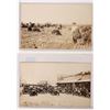Image 1 : Hereford RPC Pair [188661]