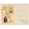 Image 9 : Ty-Phoo Tea Cinderella Booklets, 3 [188740]