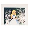 Image 1 : An "Alice in Wonderland" Studio Dye Transfer.