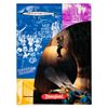 Image 1 : A Hunchback of Notre Dame Festival of Fools Press Kit.